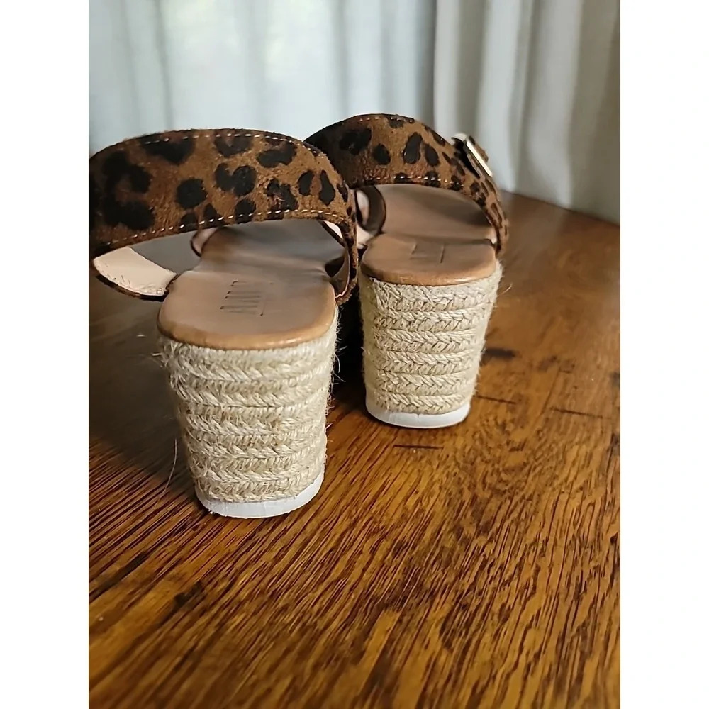 Leopard elevate your